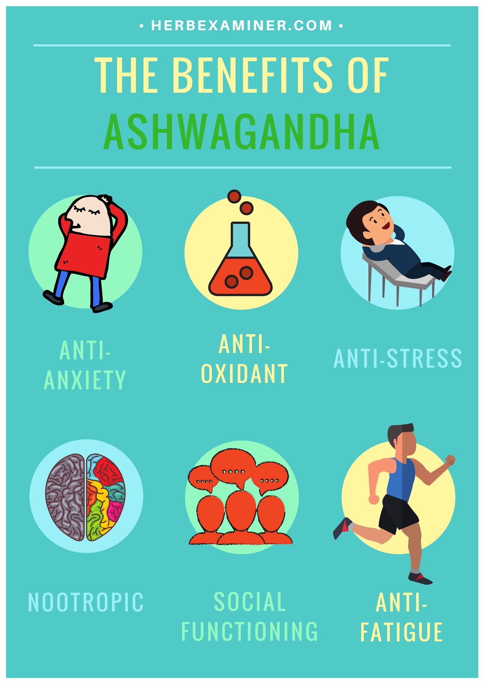 benefits of ashwagandha for hair growth